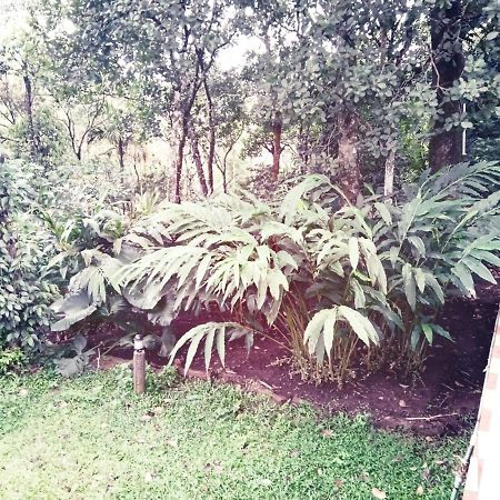 Hill Mist Thekkady Hotell Exteriör bild