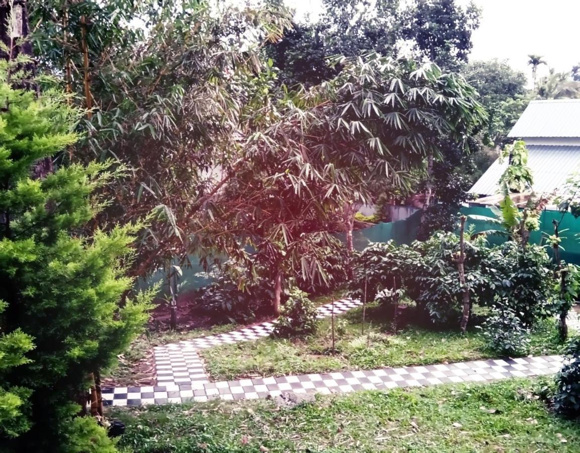 Hill Mist Thekkady Hotell Exteriör bild